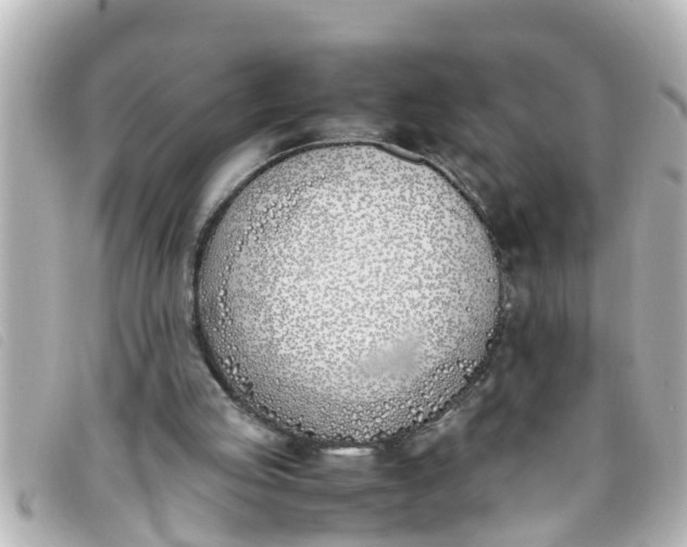 X0000093390053200710251250