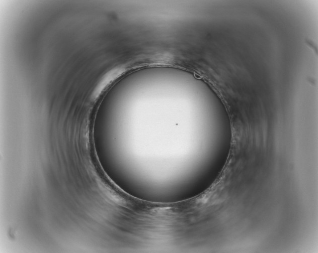 X0000093390054200710251250