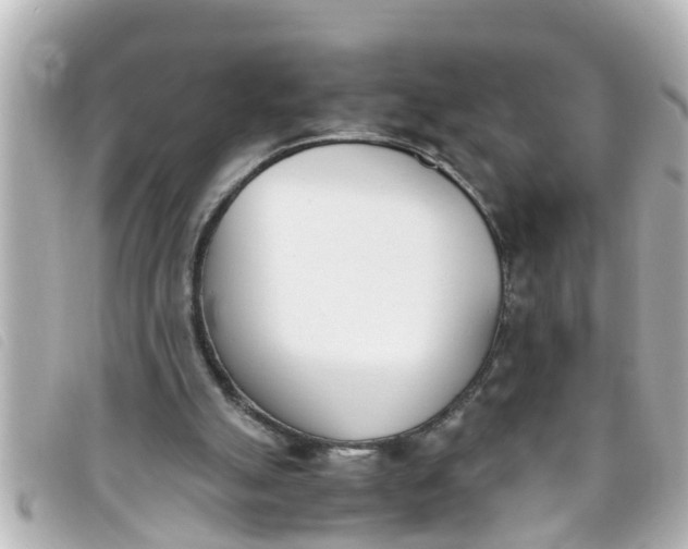 X0000093390055200710251250