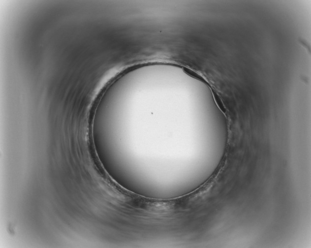 X0000093390056200710251250