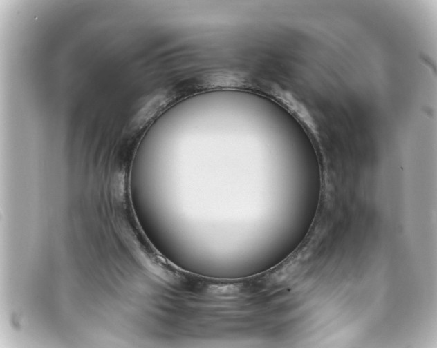 X0000093390057200710251250