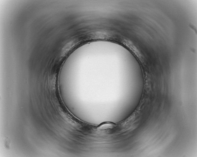 X0000093390058200710251250