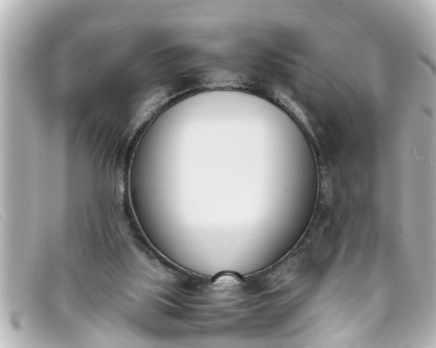 X0000093390059200710251250