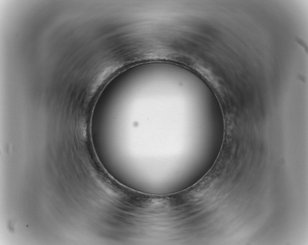 X0000093390060200710251250