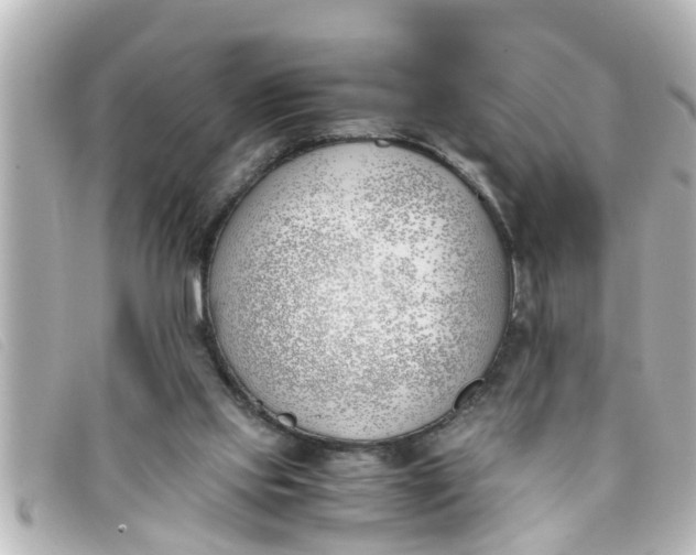 X0000093390061200710251250