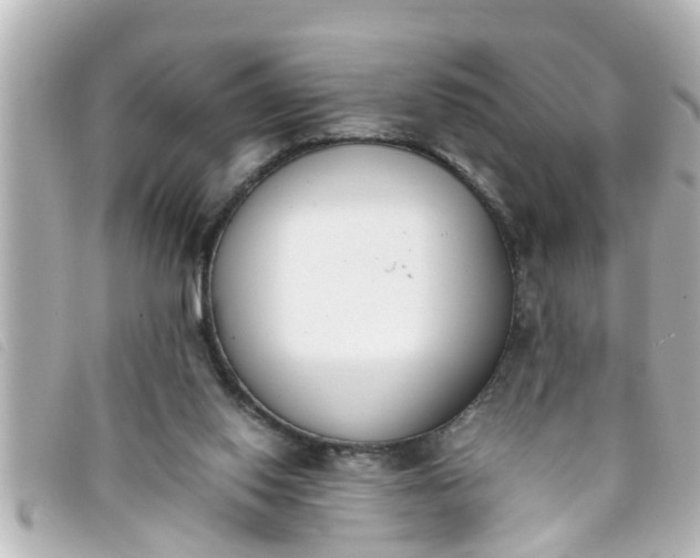 X0000093390062200710251250