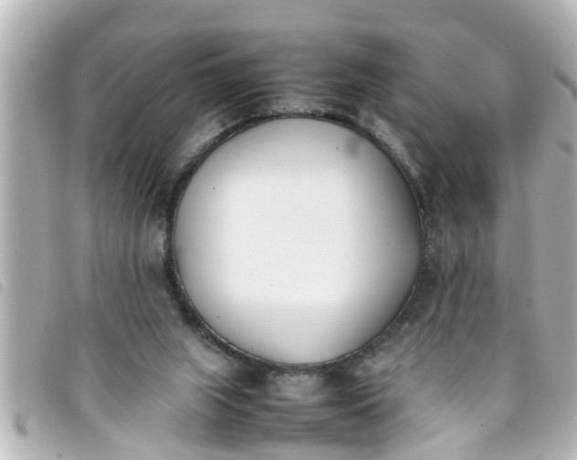 X0000093390063200710251250