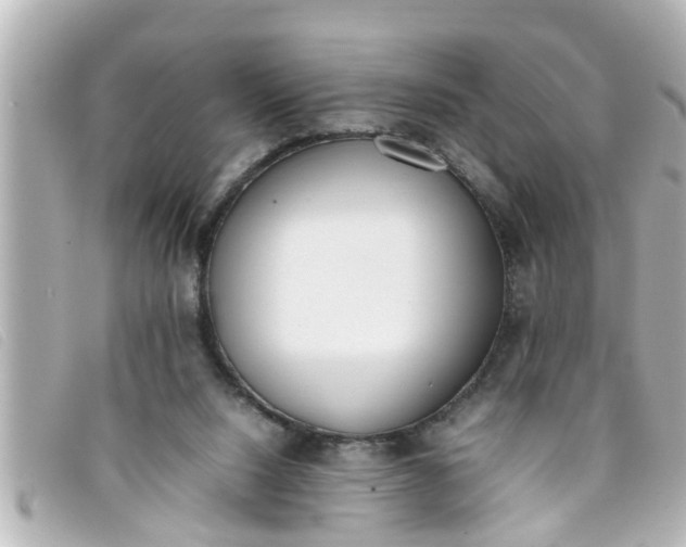 X0000093390064200710251250