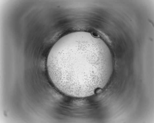 X0000093390065200710251250