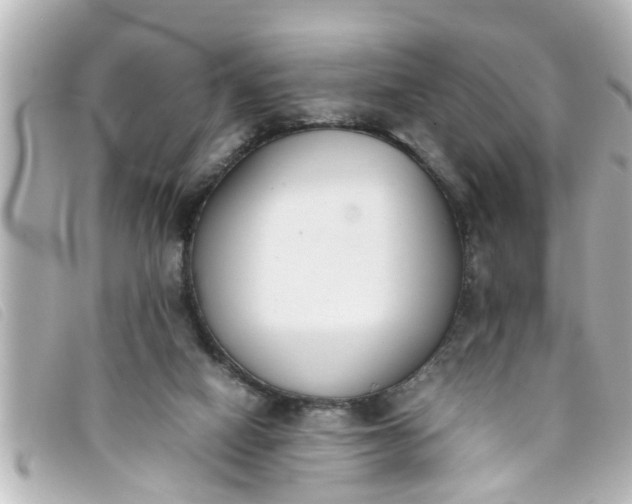 X0000093390066200710251250