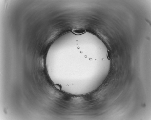 X0000093390067200710251250