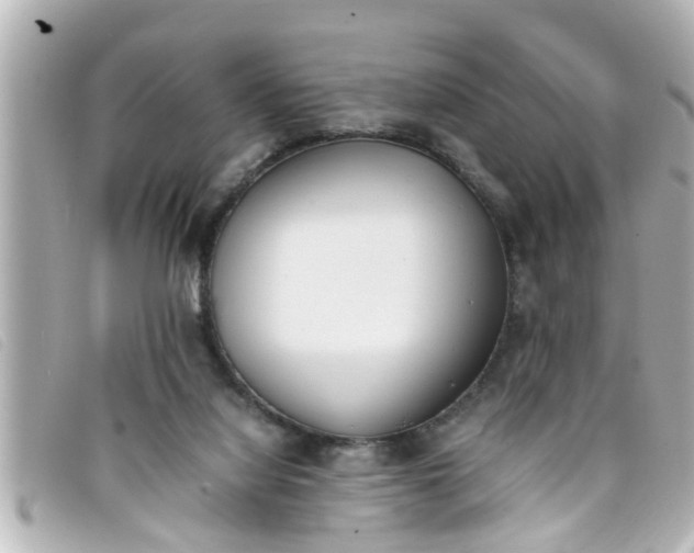 X0000093390068200710251250