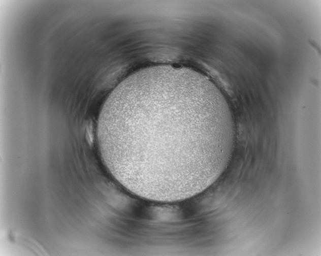 X0000093390069200710251250