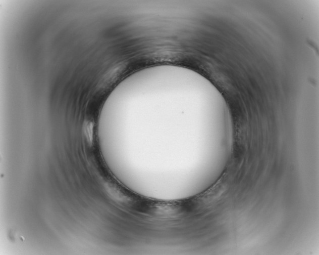 X0000093390070200710251250