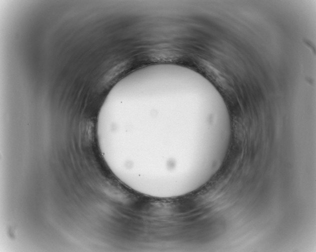 X0000093390071200710251250