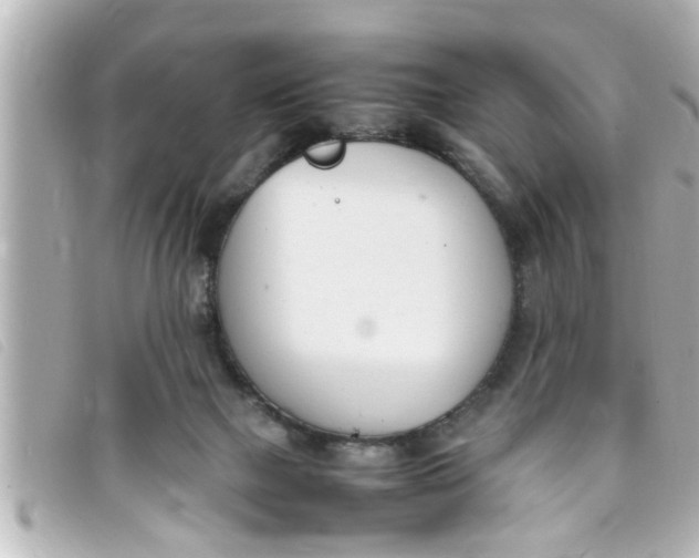 X0000093390073200710251250