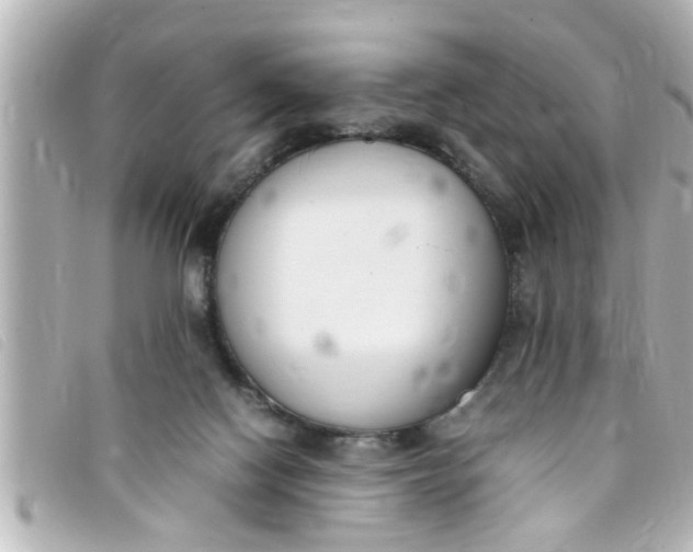 X0000093390074200710251250