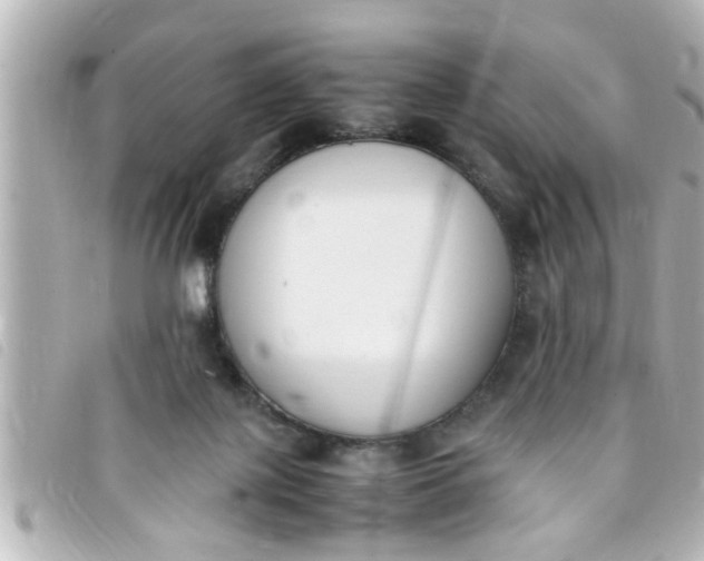 X0000093390075200710251250