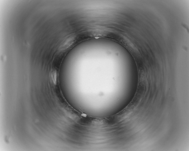 X0000093390076200710251250