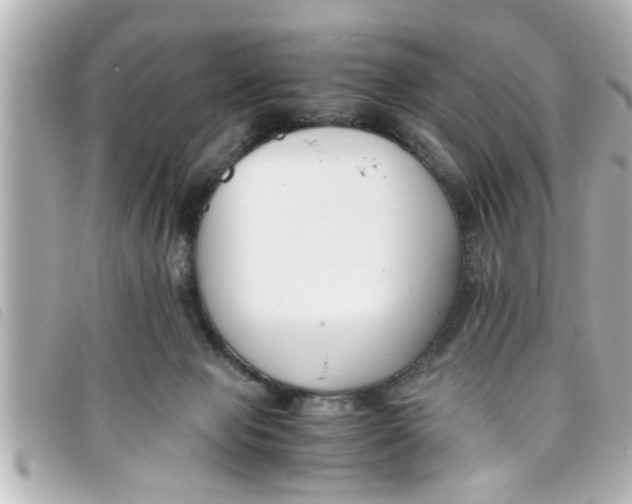 X0000093390077200710251250