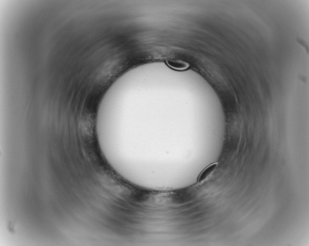 X0000093390078200710251250