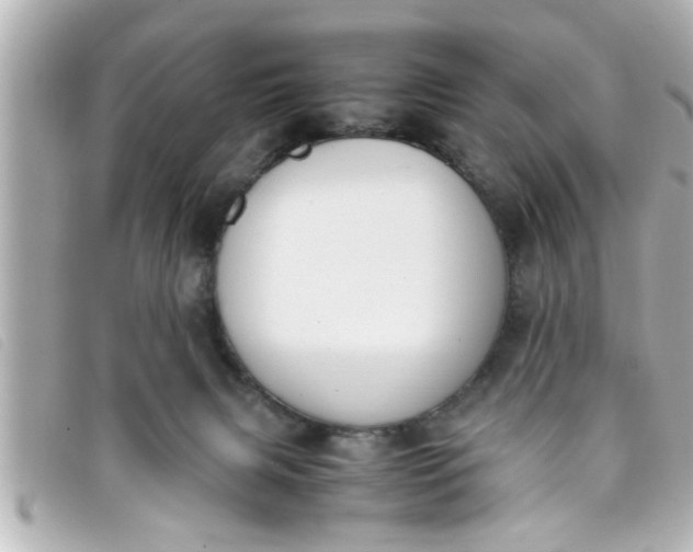 X0000093390079200710251250