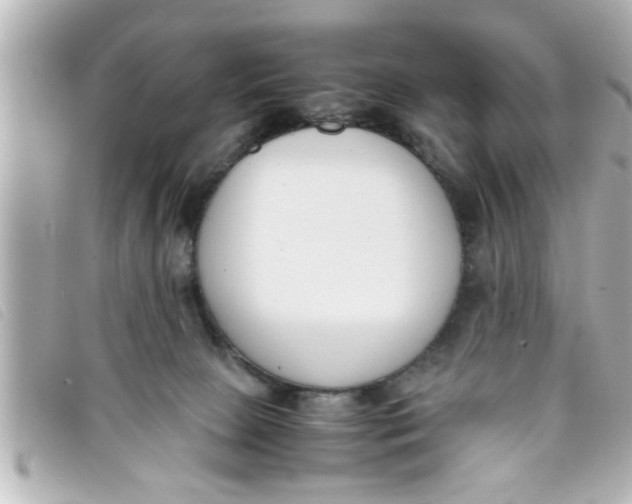 X0000093390081200710251250