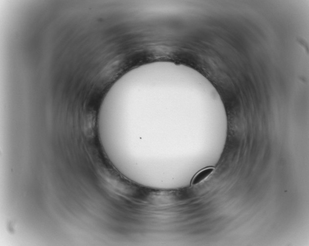 X0000093390082200710251250