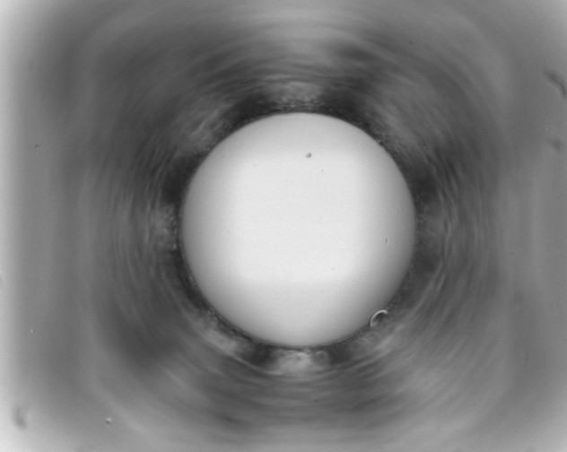 X0000093390083200710251250