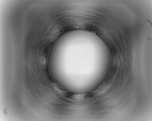 X0000093390084200710251250