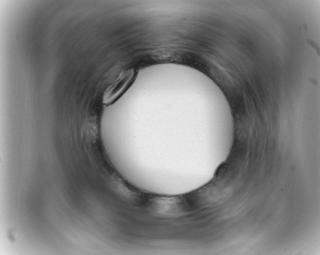 X0000093390085200710251250