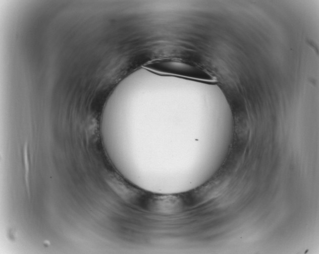 X0000093390087200710251250