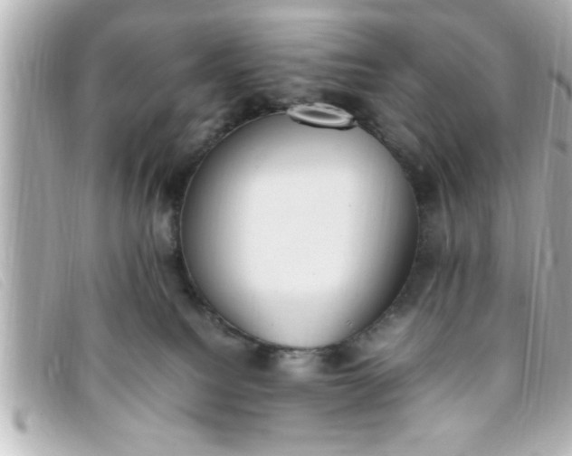 X0000093390088200710251250