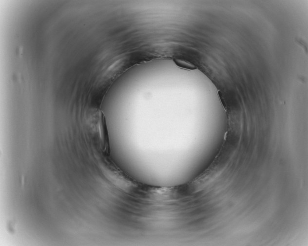 X0000093390092200710251250