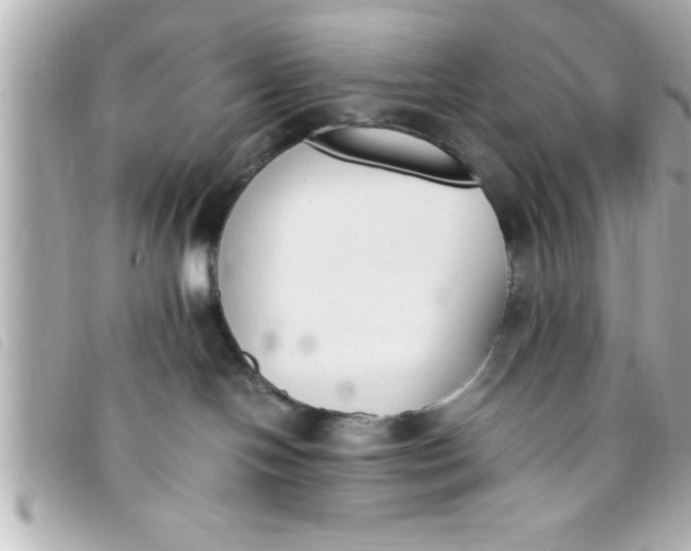 X0000093390094200710251250