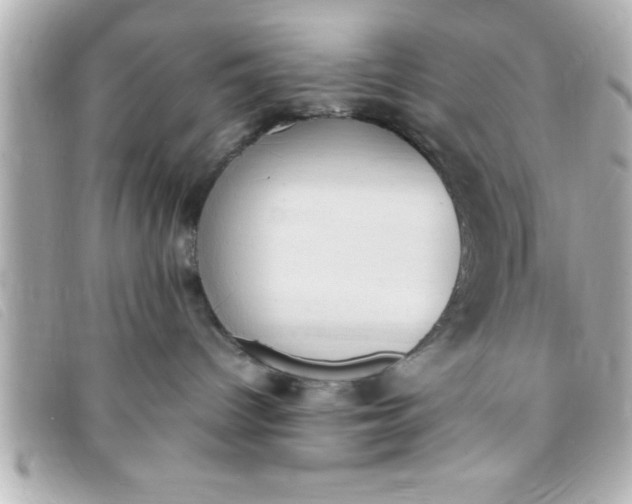 X0000093390096200710251250