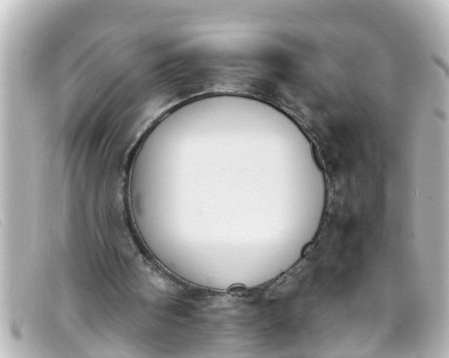 X0000093390098200710251250