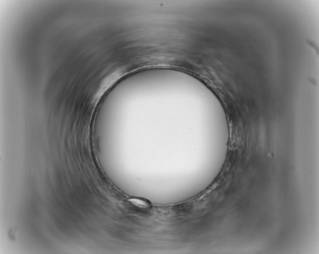 X0000093390099200710251250