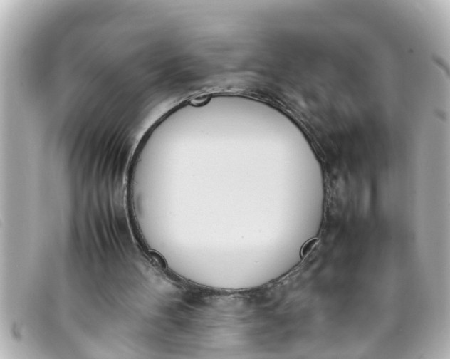 X0000093390100200710251250