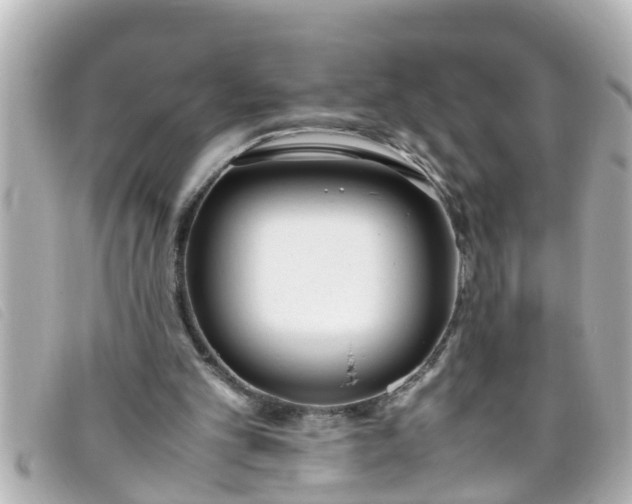 X0000093390101200710251250