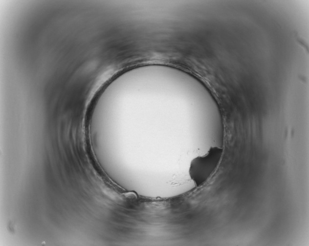 X0000093390102200710251250