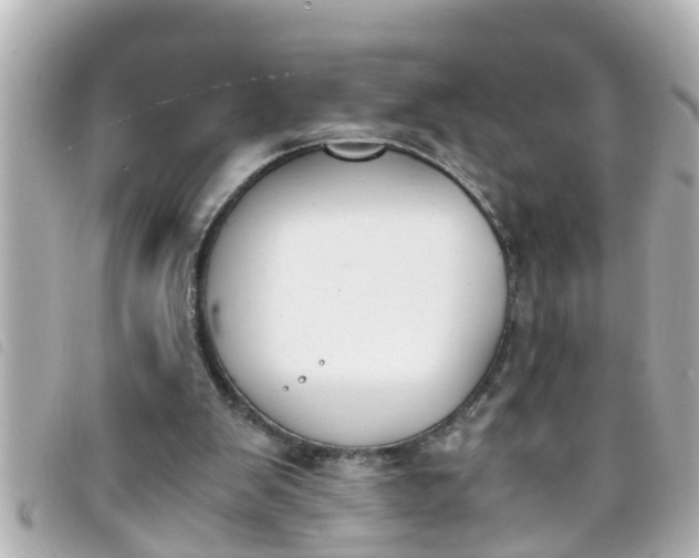 X0000093390103200710251250