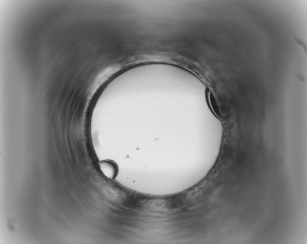 X0000093390104200710251250