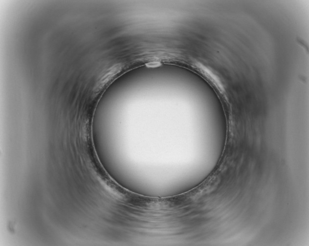 X0000093390105200710251250