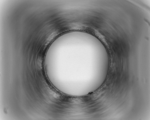 X0000093390106200710251250