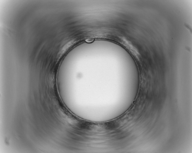 X0000093390107200710251250