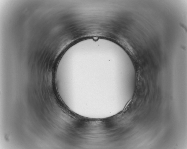 X0000093390108200710251250