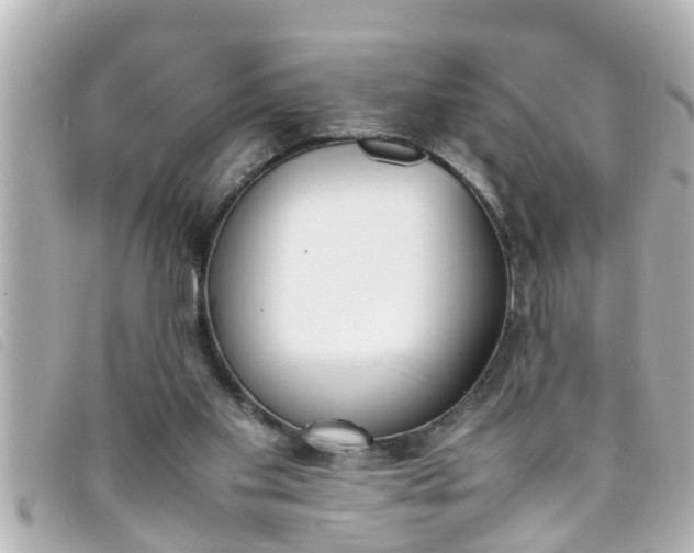 X0000093390109200710251250