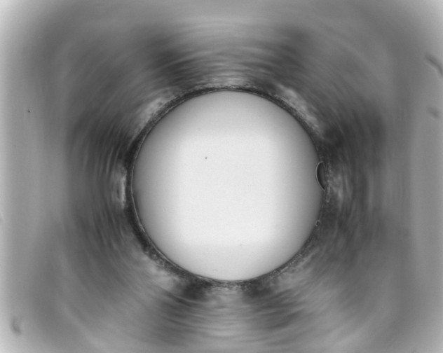 X0000093390110200710251250