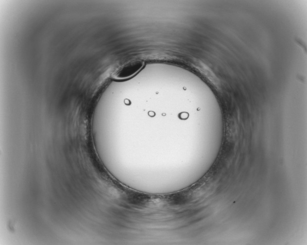 X0000093390111200710251250